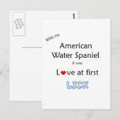 Carte Postale American Water Spaniel Lick Design (Devant / Derrière)