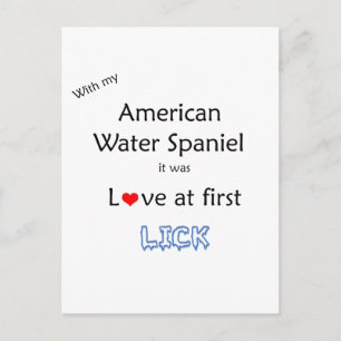 Carte Postale American Water Spaniel Lick Design