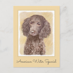 Carte Postale American Water Spaniel Peinture - Original Dog Art