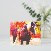 Carte Postale Amérindien à Horseback (Debout devant)