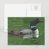 Carte Postale Amérique du Nord, Canada, Colombie-Britannique (Devant / Derrière)