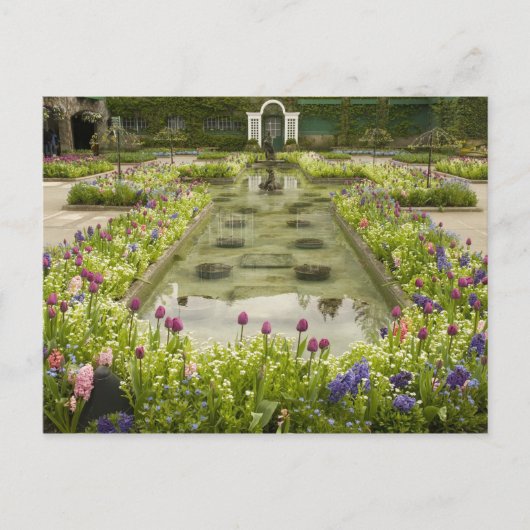 Carte Postale Amérique du Nord, Canada, Colombie-Britannique, 4 (Devant)