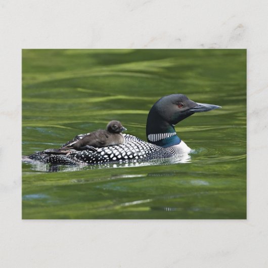 Carte Postale Amérique du Nord, Canada, Colombie-Britannique, La (Devant)