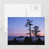 Carte Postale Amérique du Nord, Canada, île de Vancouver, arbres (Devant / Derrière)