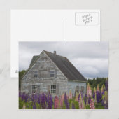 Carte Postale Amérique du Nord, Canada, Île-du-Prince-Édouard (Devant / Derrière)