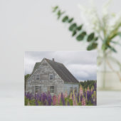 Carte Postale Amérique du Nord, Canada, Île-du-Prince-Édouard (Debout devant)