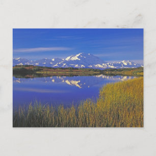 Carte Postale Amérique du Nord, États-Unis, Alaska, Parc nationa