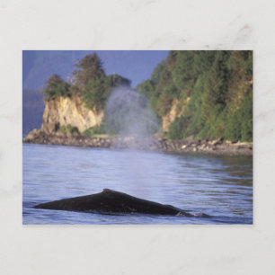 Carte Postale Amérique du Nord, États-Unis, Alaska, Passage Inté