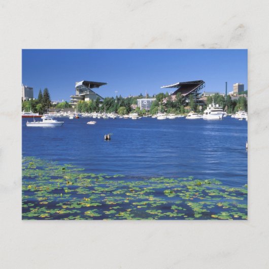 Carte Postale Amérique du Nord, États-Unis, État de Washington,  (Devant)