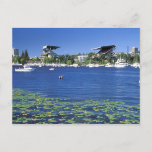 Carte Postale Amérique du Nord, États-Unis, État de Washington,