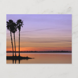Carte Postale Amérique du Nord, États-Unis, Floride, Mt. Dora, u