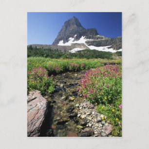Carte Postale Amérique du Nord, États-Unis, Montana, Glacier Nat