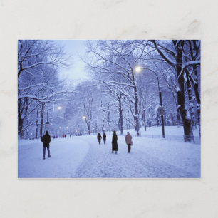 Carte Postale Amérique du Nord, États-Unis, New York, New York C