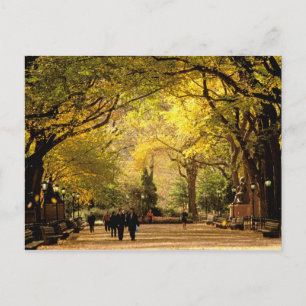 Carte Postale Amérique du Nord, États-Unis, New York, New York C