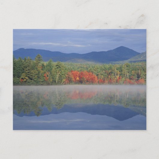 Carte Postale Amérique du Nord, États-Unis, NH, Chute reflet dan (Devant)