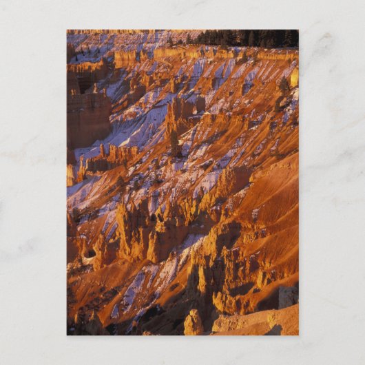 Carte Postale Amérique du Nord, États-Unis, Utah, Bryce Canyon (Devant)
