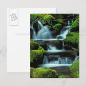 Carte Postale Amérique du Nord; États-Unis; Washington, Sol Duc  (Devant / Derrière)