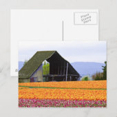 Carte Postale Amérique du Nord, États-Unis, Washington, vallée d (Devant / Derrière)