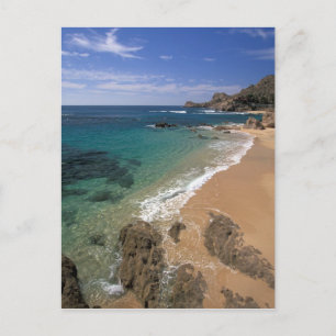 Carte Postale Amérique du Nord, Mexique, Basse Californie du Sud