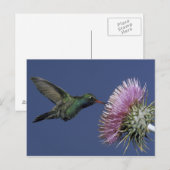 Carte Postale Amérique du Nord, USA, Arizona. Facturé à grande é (Devant / Derrière)