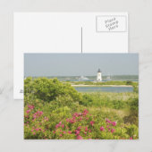 Carte Postale Amérique du Nord, USA, Massachusetts, Martha's (Devant / Derrière)