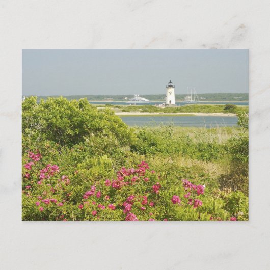 Carte Postale Amérique du Nord, USA, Massachusetts, Martha's (Devant)