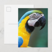 Carte Postale Amérique du Sud, Brésil, Iguacu National Park, (Devant / Derrière)