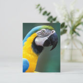 Carte Postale Amérique du Sud, Brésil, Iguacu National Park, (Debout devant)