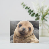 Carte Postale Amérique du Sud, Équateur, îles Galapagos (Debout devant)