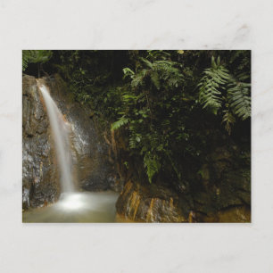 Carte Postale Amérique du Sud, Équateur, versant oriental de la