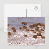 Carte Postale Amérique du Sud, Venezuela, Llano. (Devant / Derrière)