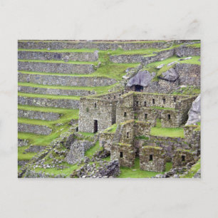 Carte Postale Amériques, Pérou, Machu PIcchu. L'ancien 2