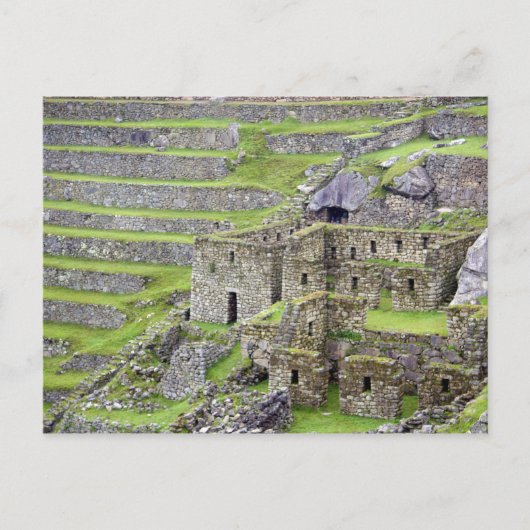 Carte Postale Amériques, Pérou, Machu PIcchu. L'ancien 2 (Devant)