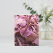 Carte Postale Amethyst Deceiver (Debout devant)