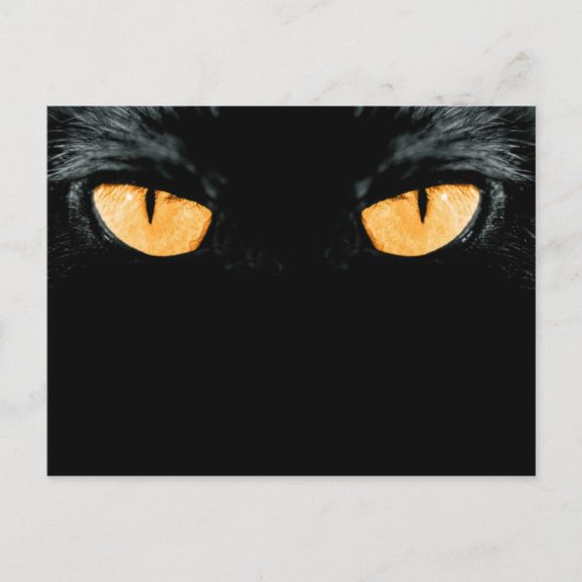 Carte Postale ami (Devant)