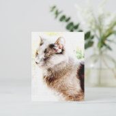 Carte Postale ami de printemps PoStCaRd ! (Debout devant)