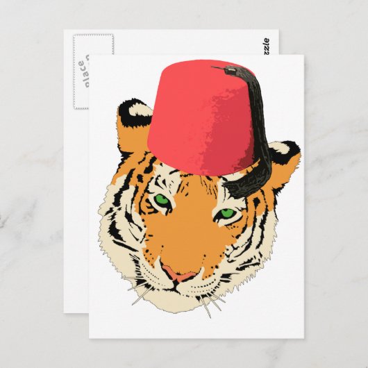 CARTE POSTALE AMI FEZ 2 (Devant / Derrière)