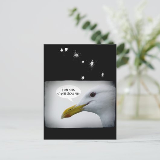 Carte Postale Amical Seagull ? (Debout devant)