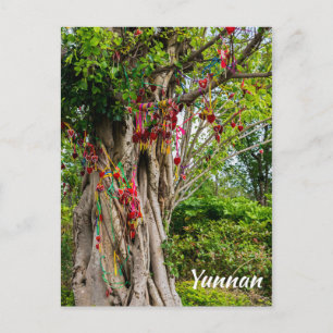 Carte Postale Amidon, Zhonghe - Yunnan, Chine