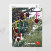 Carte Postale Amidon, Zhonghe - Yunnan, Chine (Devant / Derrière)