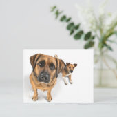 Carte Postale amis (Debout devant)