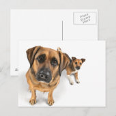 Carte Postale amis (Devant / Derrière)