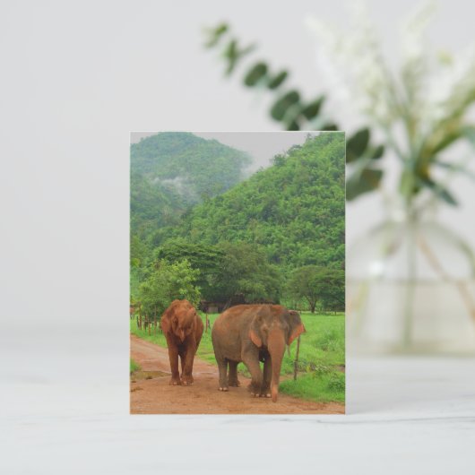 Carte Postale Amis (Debout devant)