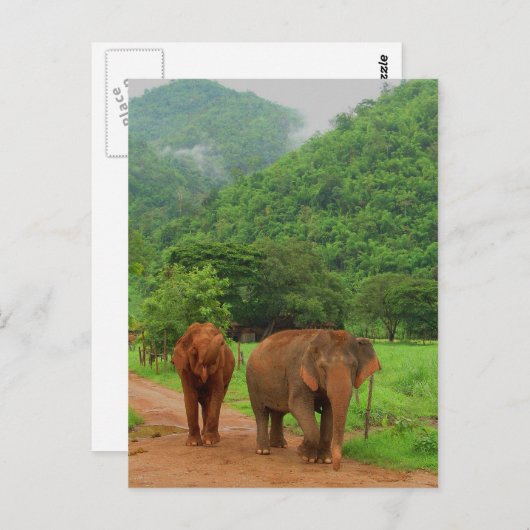 Carte Postale Amis (Devant / Derrière)