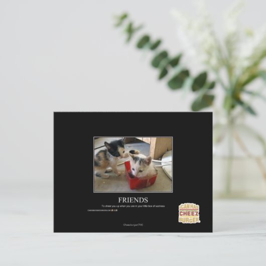 Carte Postale Amis (Debout devant)