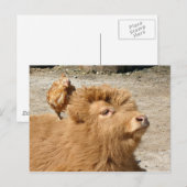 Carte Postale amis Barnyard (Devant / Derrière)