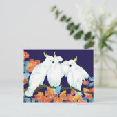 Carte Postale Amis de Cockatoo (Debout devant)