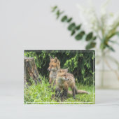 Carte Postale Amis de Rainy Day (Debout devant)