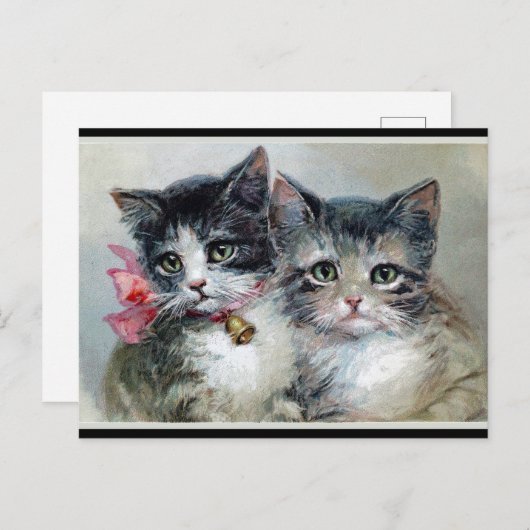 Carte Postale Amis, deux chatons mignons, (Devant / Derrière)