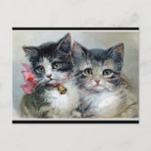 Carte Postale Amis, deux chatons mignons, (Devant)